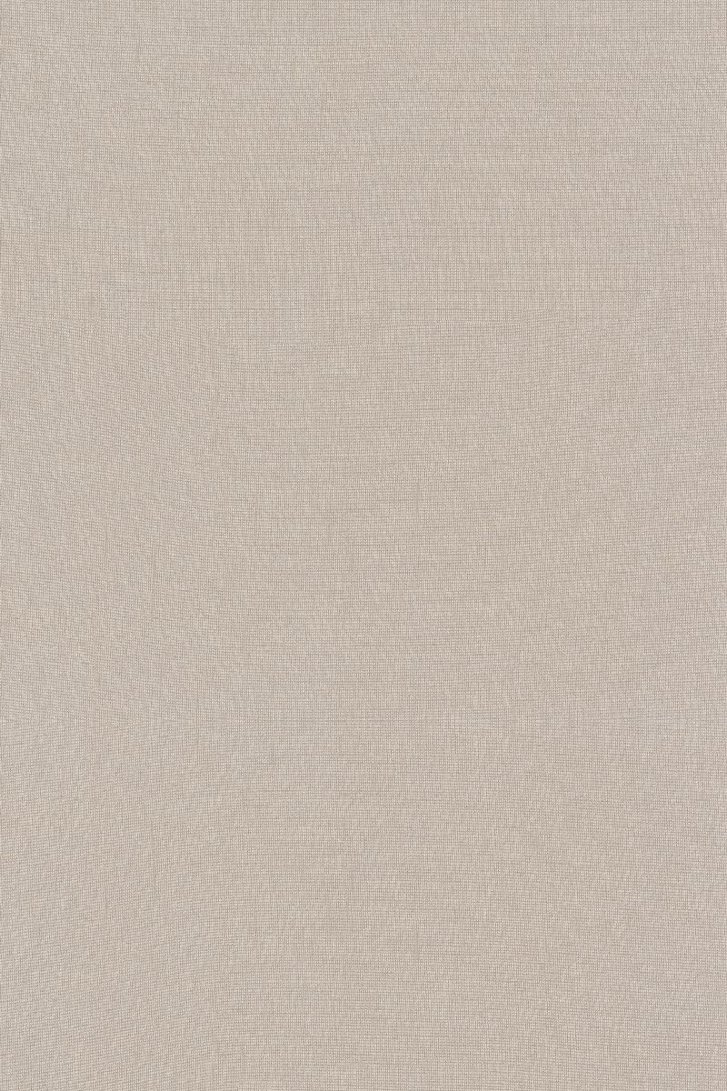 Textil Cactus Desarrollo
