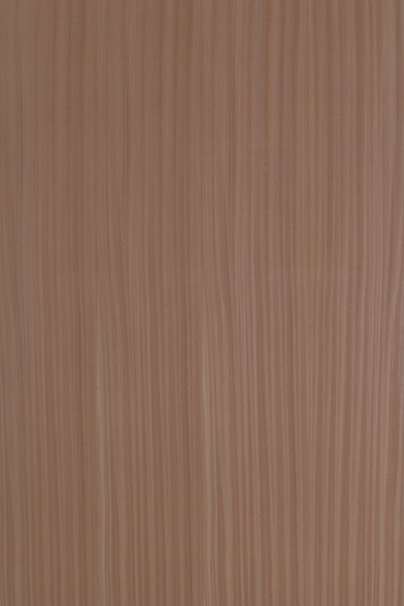 Sapelli