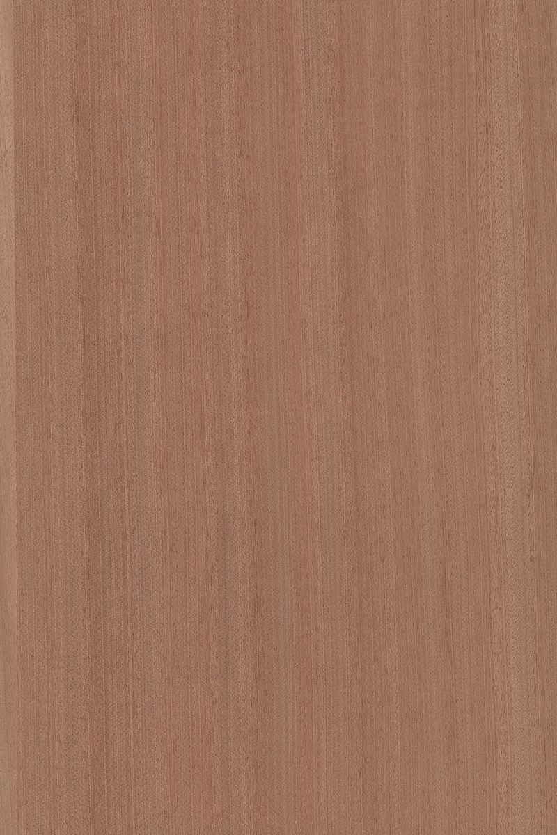 Sapelli